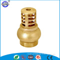 vertical spring loading brass check valve